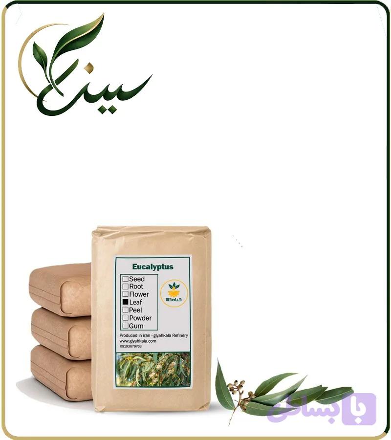 گیاه اکالیپتوس خشک فله (کد JJXTB)