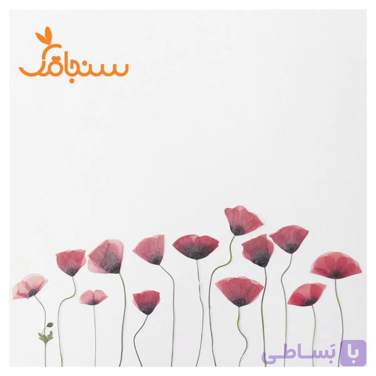 شقایق قرمز(بسته ۵ عددی) — تصویر 1