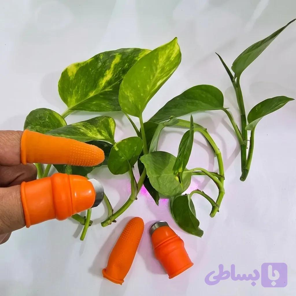 قیچی انگشتی | ابزار برداشت و هرس گیاه