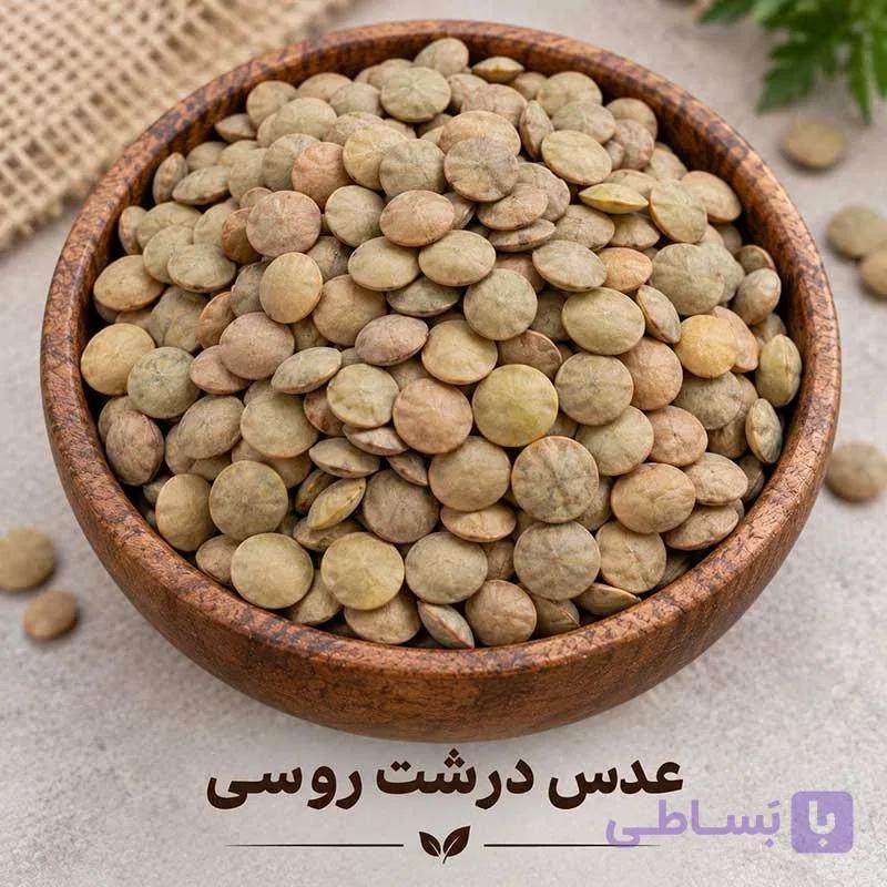 عدس درشت روسی