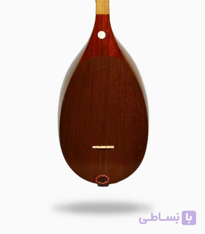 دوتار معاصر گودرزی — تصویر 1