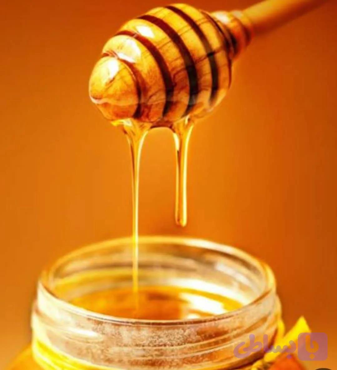 عسل گزنگبین نازگل