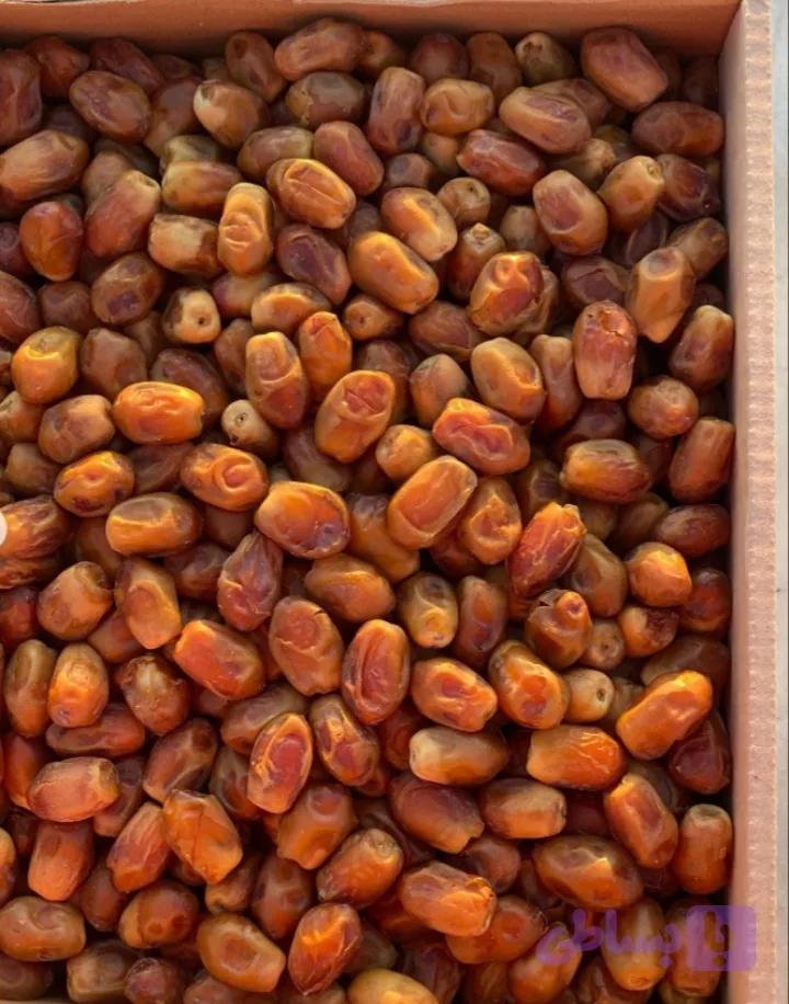 زاهدی