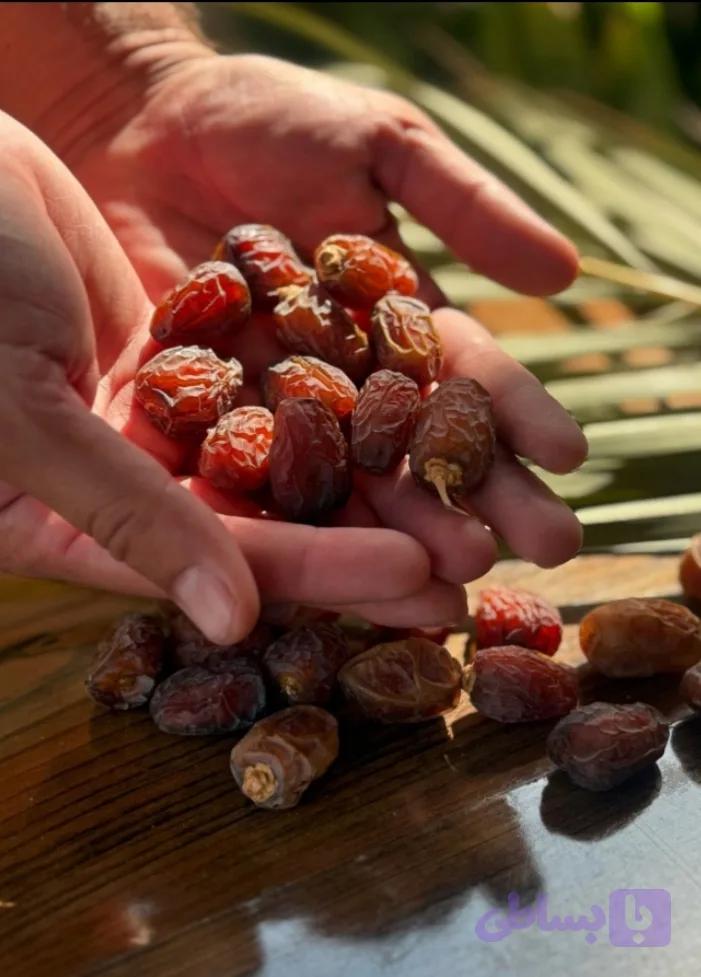 بریمی