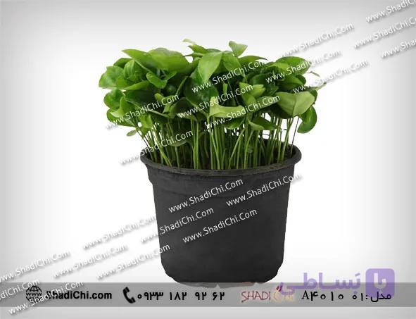 گلدان سبزه نارنج برای سال نو