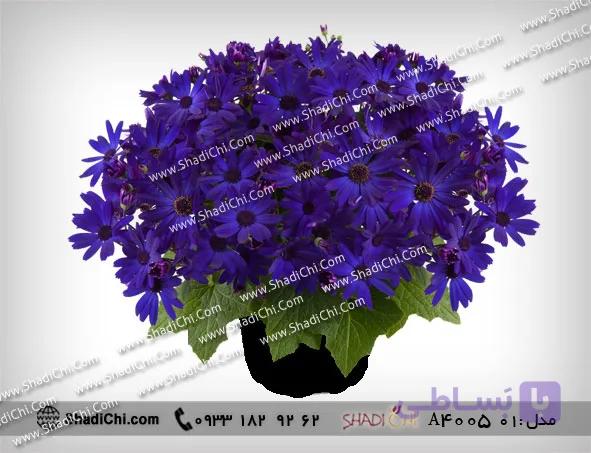 گلدان سینره برای سال نو