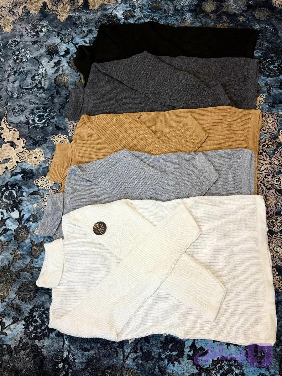 باقت یقه اسکی