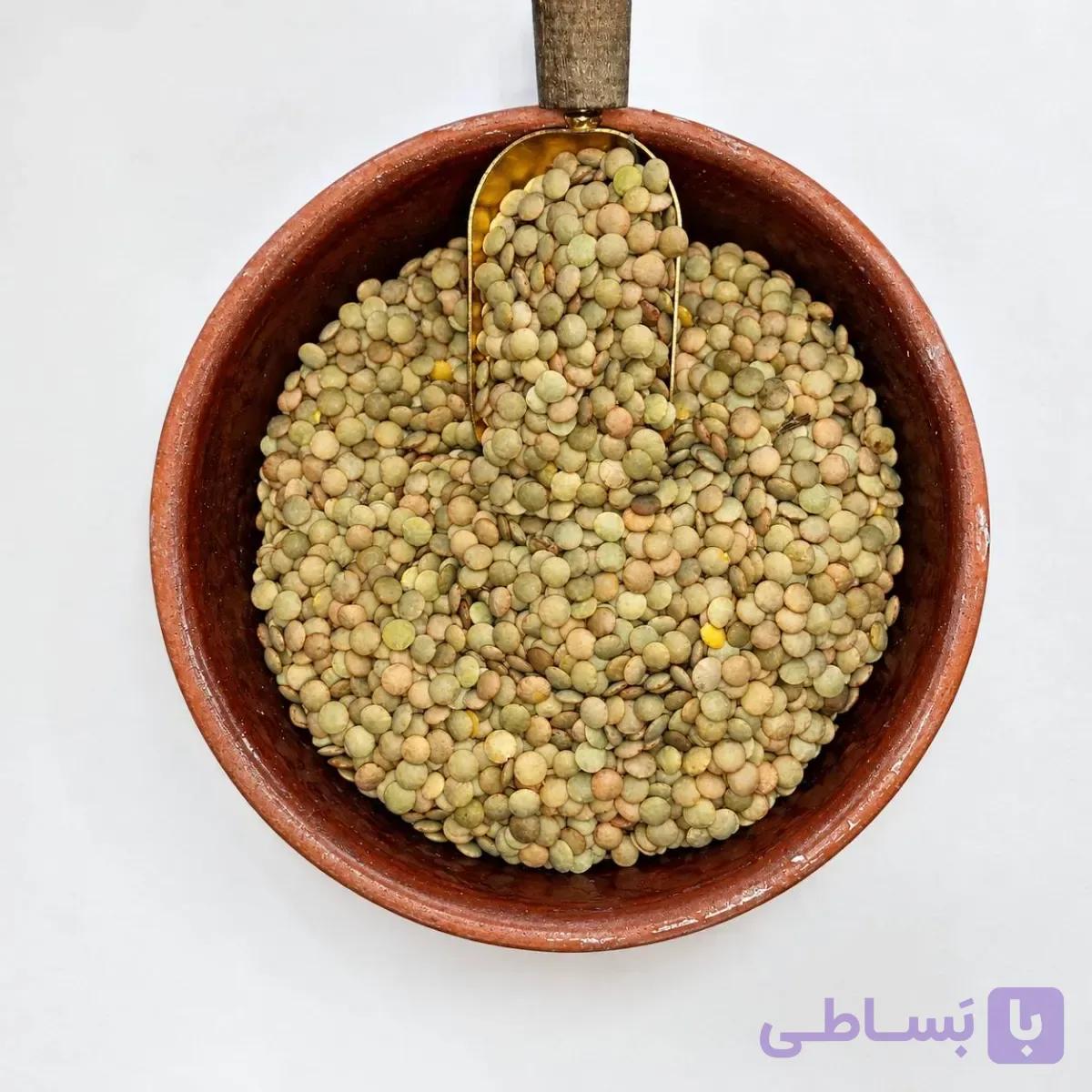 عدس سبز درشت آذربایجان؛ تازه، یکدست و خوش‌پخت