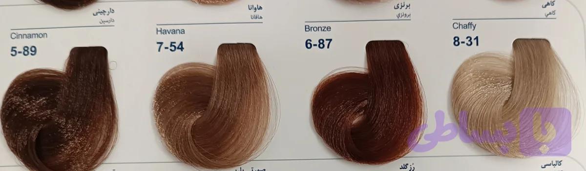 رنگ مارال سری دارچینی