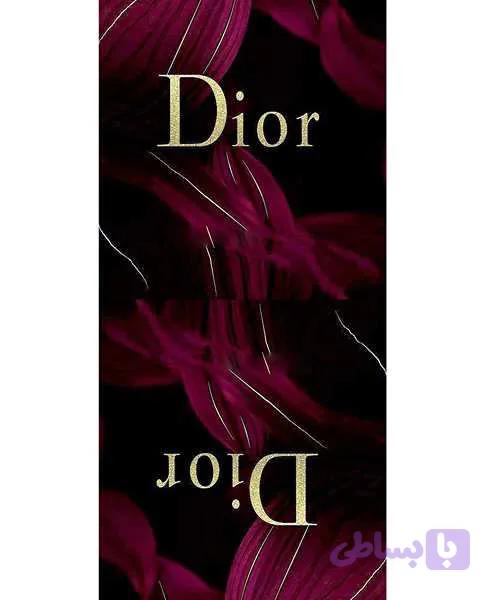 پنل کیف زنانه-Diorزرشکی