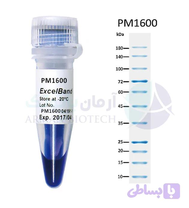 مارکر پروتئینی PM1600 بازه ی 9–180 kDa محصول SMOBIO