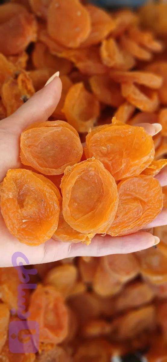 زردآلو قیسی دهقان بسته ۱ کیلویی