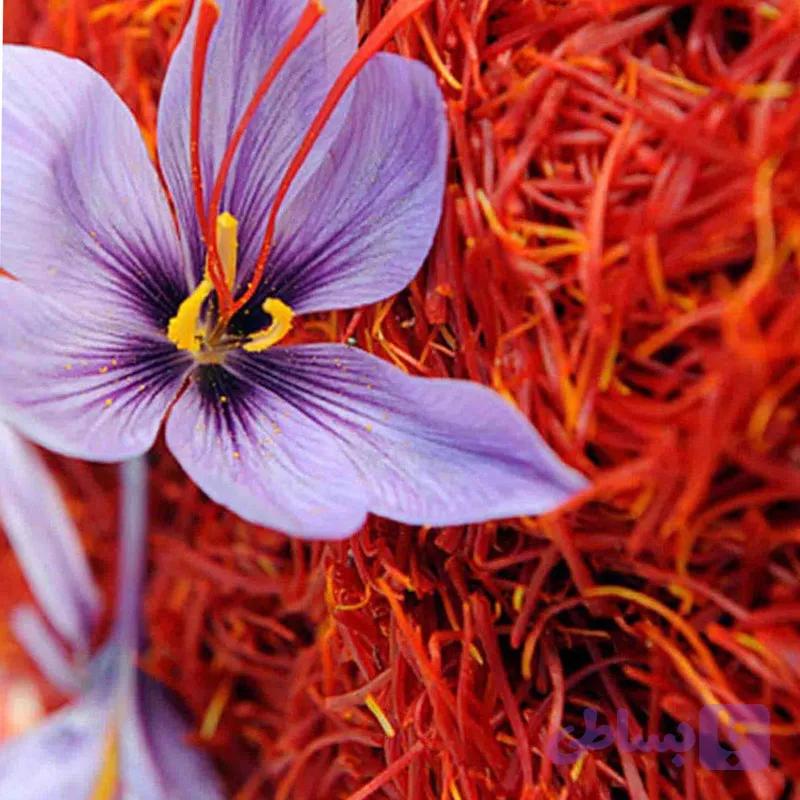 زعفران نیم گرم - ممتاز قائنات 20 عددی — تصویر 1