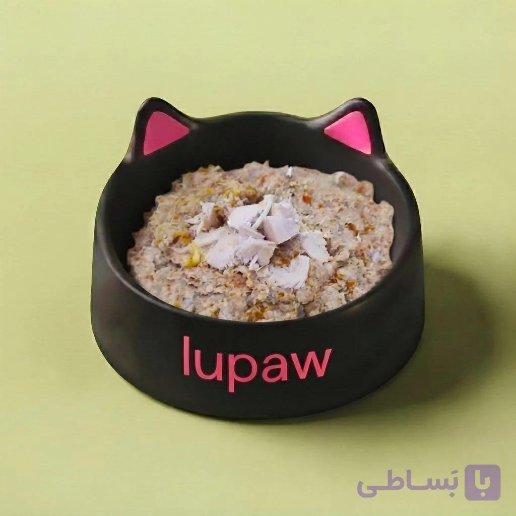 غذای تازه خانگی گربه : بوقلمون و کدو حلوایی (گوارش حساس)
