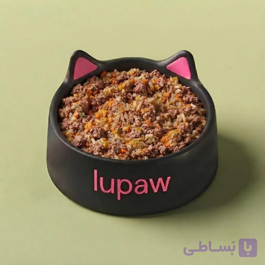 غذای تازه خانگی سگ : گوشت گوسفند و عدس — تصویر 1