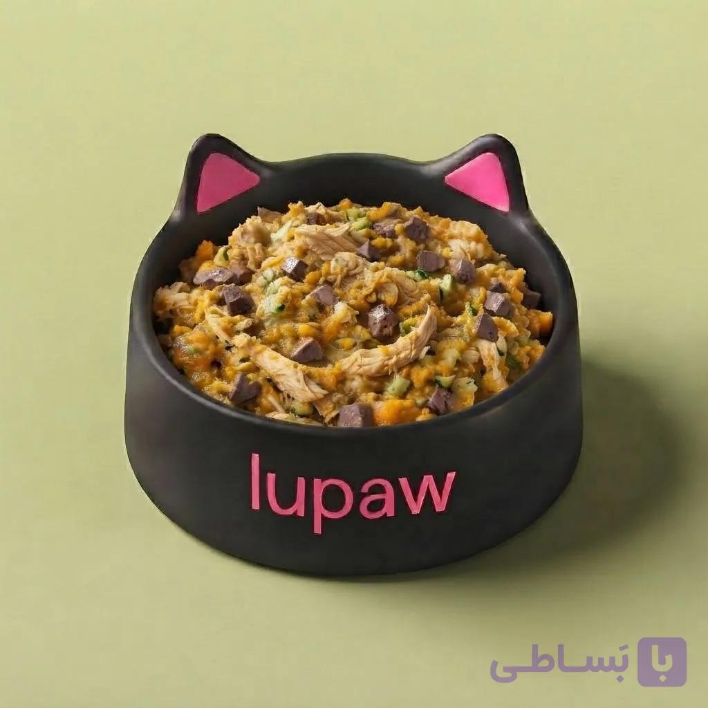 غذای تازه خانگی گربه : مرغ و کدوسبز (بدون غلات)