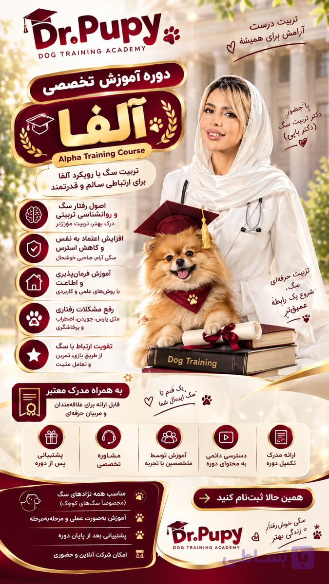 دوره آنلاین تخصصی رهبری آلفا
