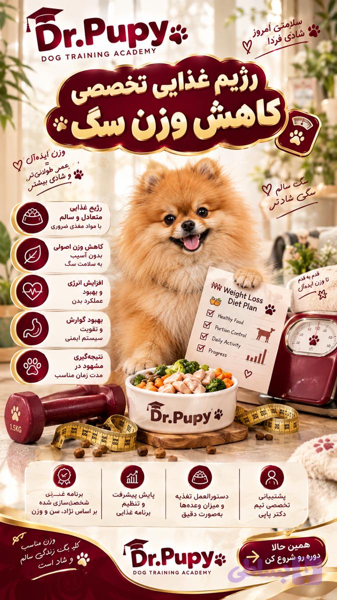 رژیم تخصصی کاهش وزن سگ
