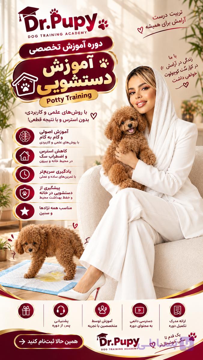 دوره آنلاین آموزش دستشویی