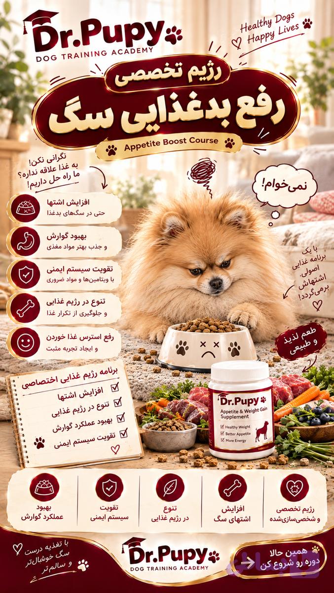 رژیم تخصصی سگ مختص سگ بدغذا