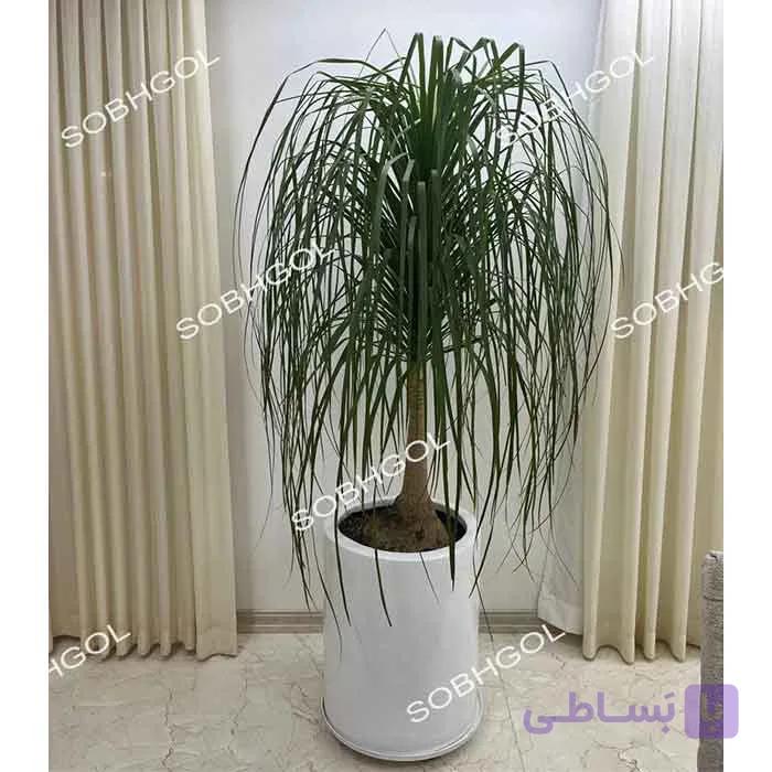 گلدان لیندا L20