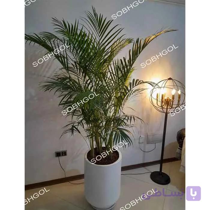گلدان لوکس اریکا سایز متوسط E19