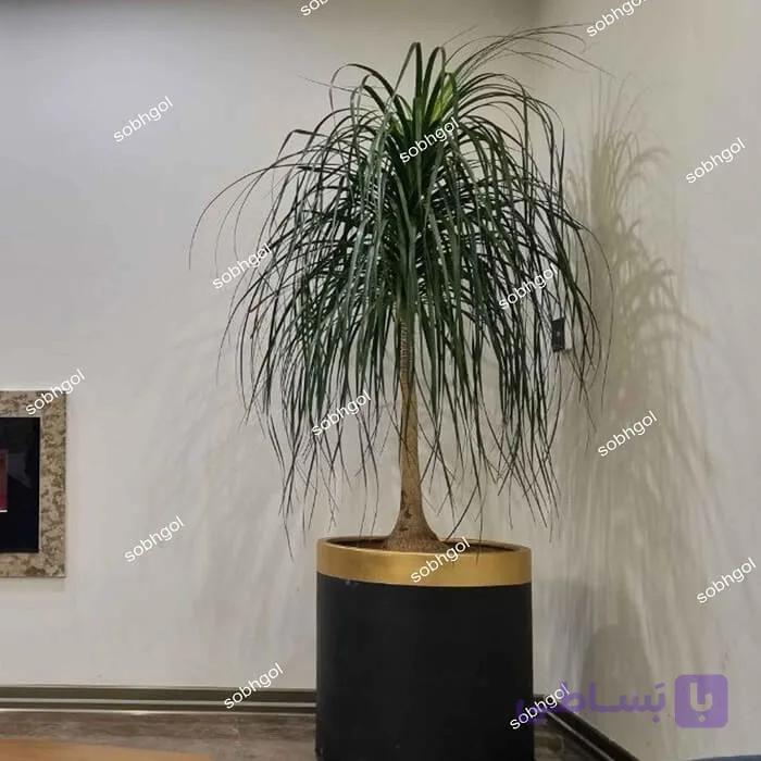 گلدان دکوراتیو لیندا 30 ساله L16 — تصویر 1