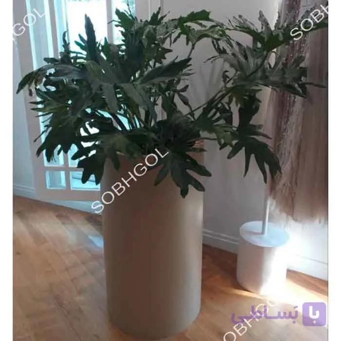 برگ انجیری فر SB07
