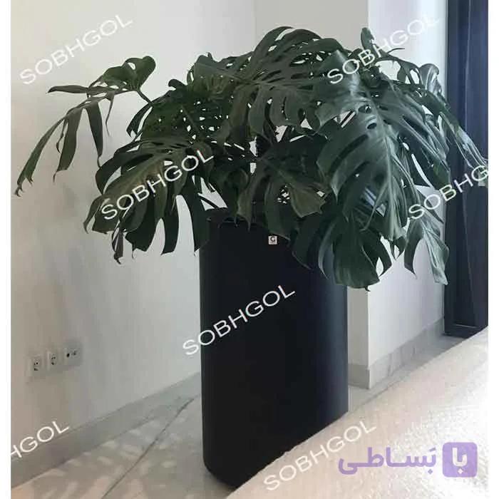 گلدان لوکس مونسترا SB08