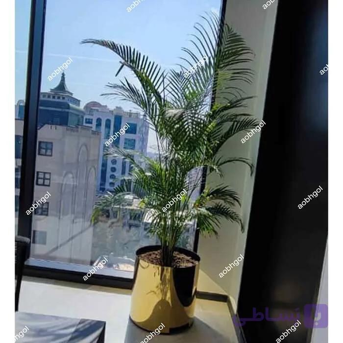 گلدان لوکس اریکا E17 — تصویر 1