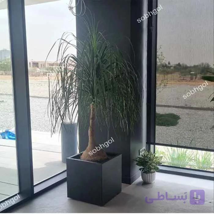 گلدان دکوراتیو لیندا L21