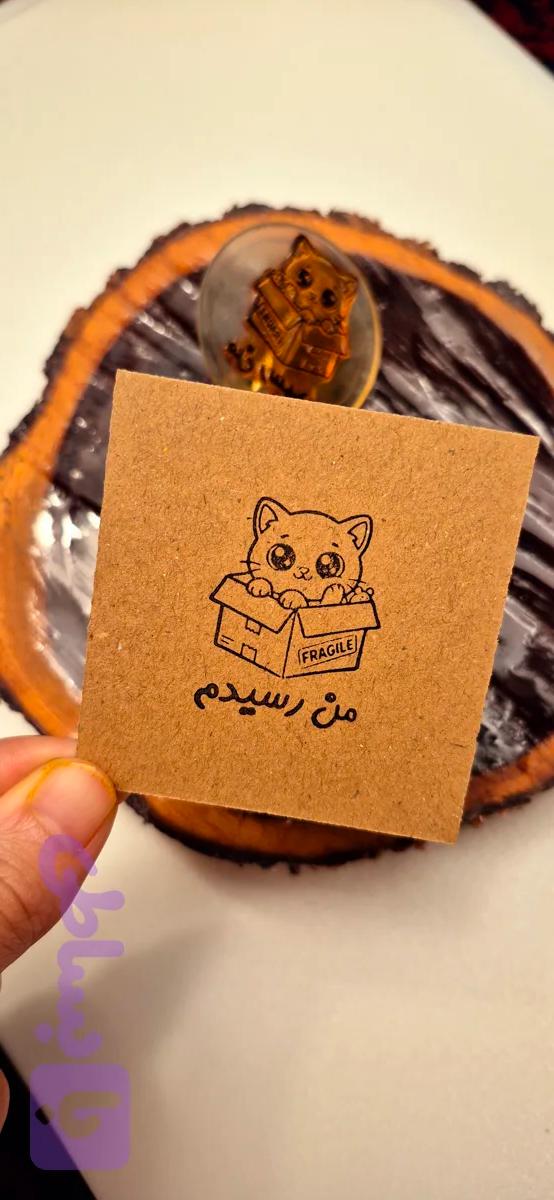 مهر گربه و متن
