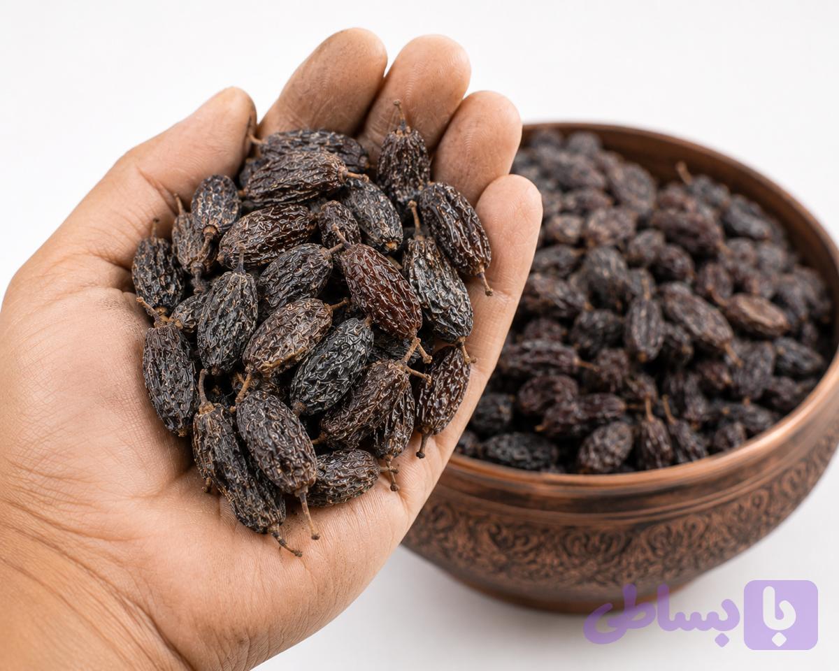 مویز فخری ملکان