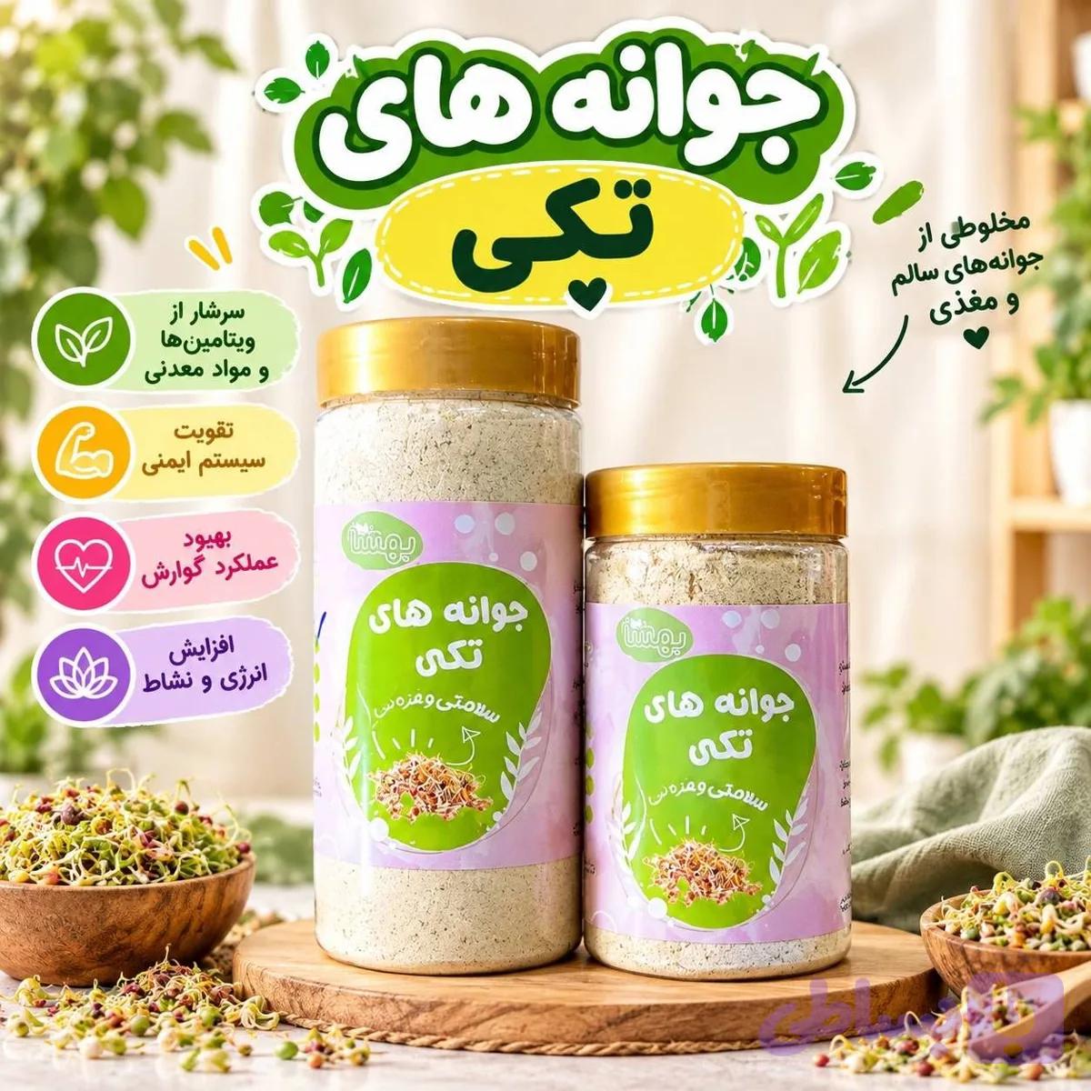 جوانه گندم