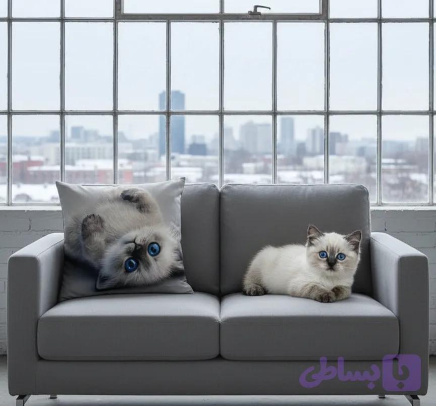 کاور کوسن طرح حیوانات خانگی- اسکاتیش خاکستری