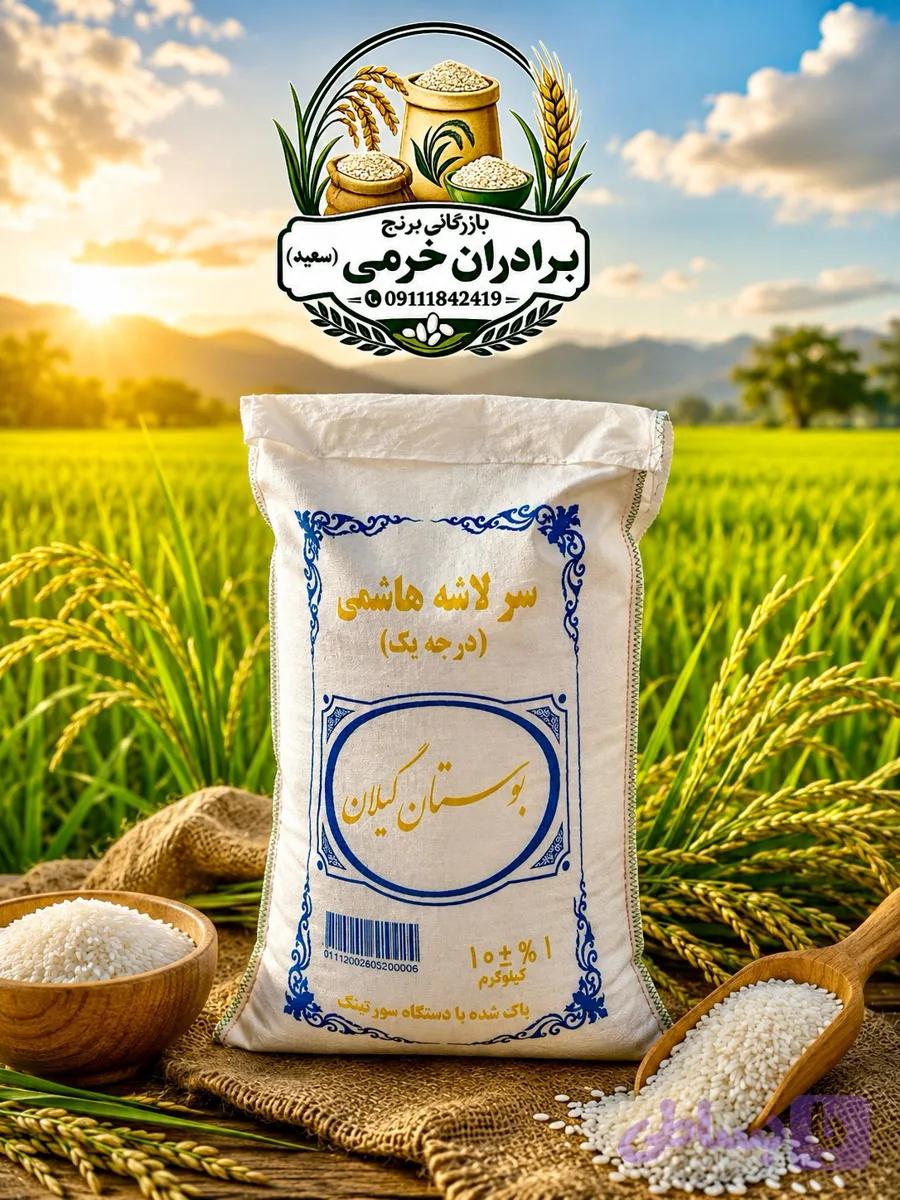 سرلاشه هاشمی درجه یک بوستان گیلان شرکت بوستان خزر ده کیلویی
