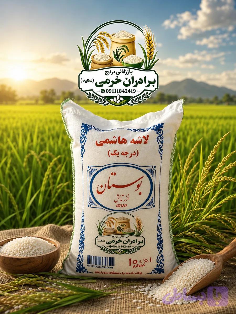 لاشه هاشمی درجه یک بوستان خزر