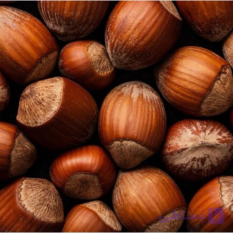 نهال فندق انیس 2 ساله
