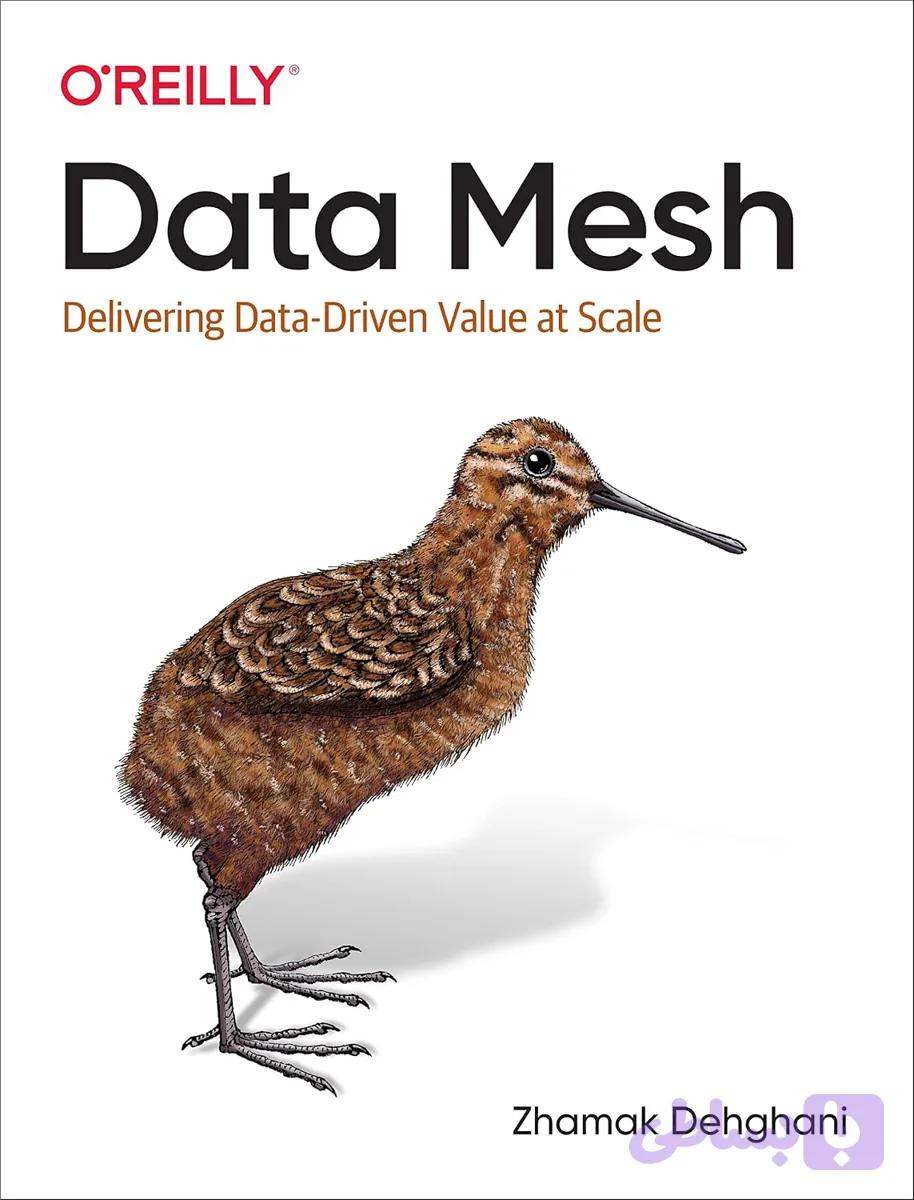 کتاب Data Mesh نسخه انگلیسی PDF | Zhamak Dehghani