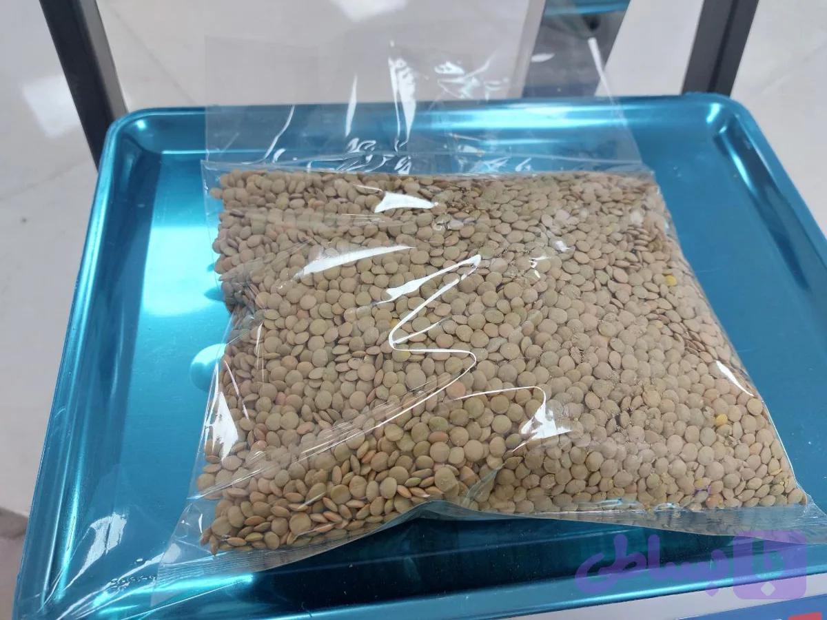 عدس صادراتی سرند شده 500 گرمی — تصویر 1