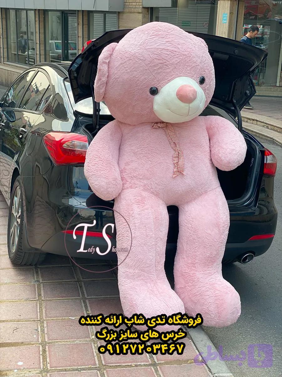 خرس کالباسی راس 220 سانتی — تصویر 1