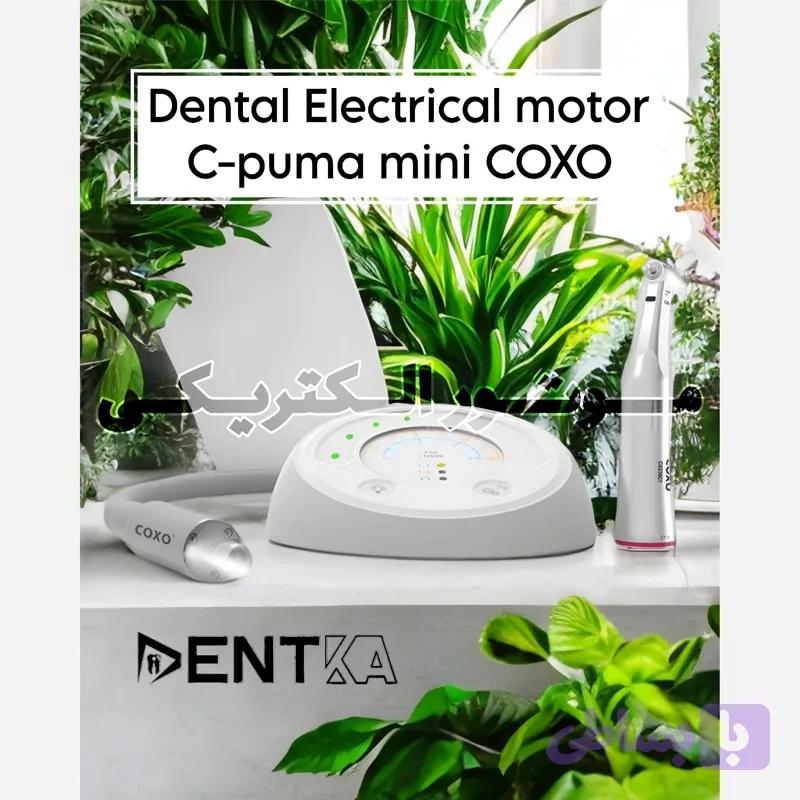 موتور الکتریکی کوکسو C-PUMA MINI