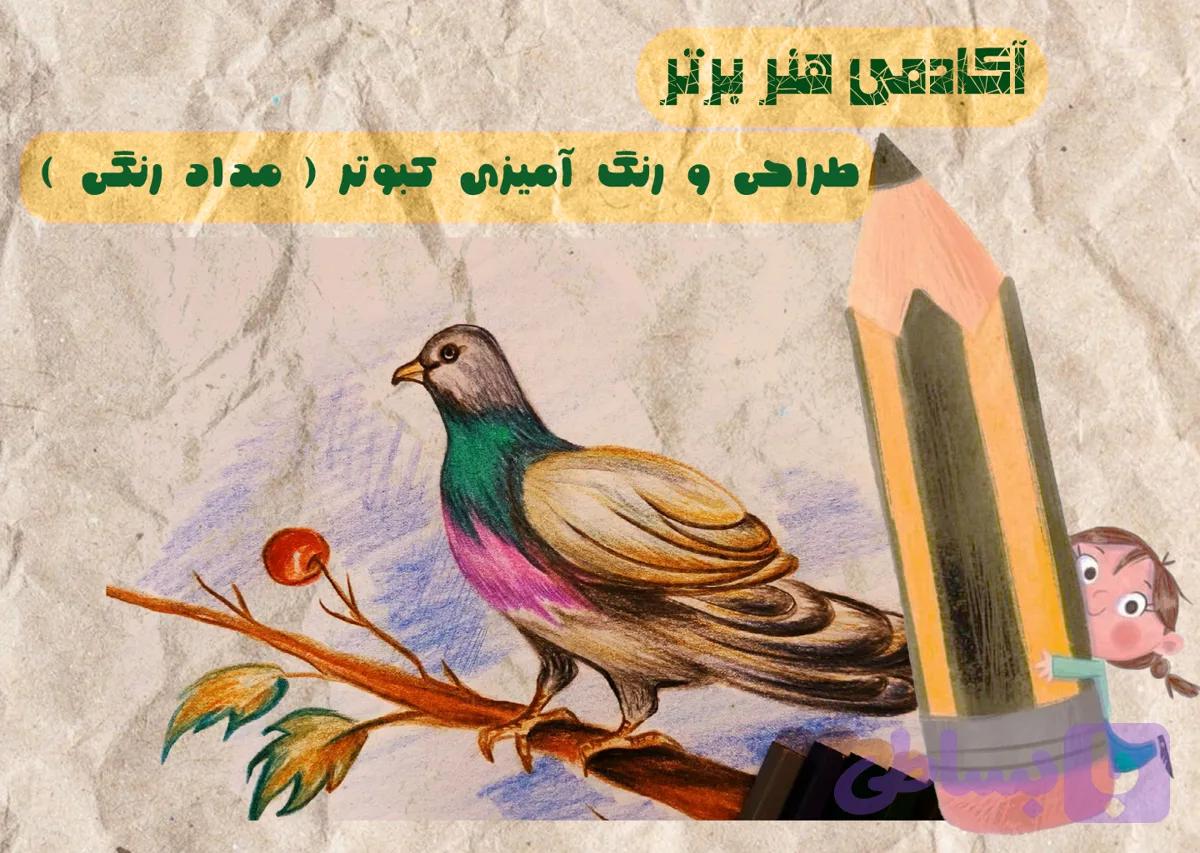 آموزش طراحی کبوتر