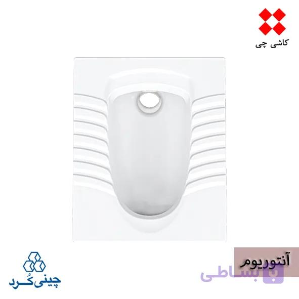 توالت زمینی آنتوریوم تخت (بدون ریم) درجه 1 — تصویر 1