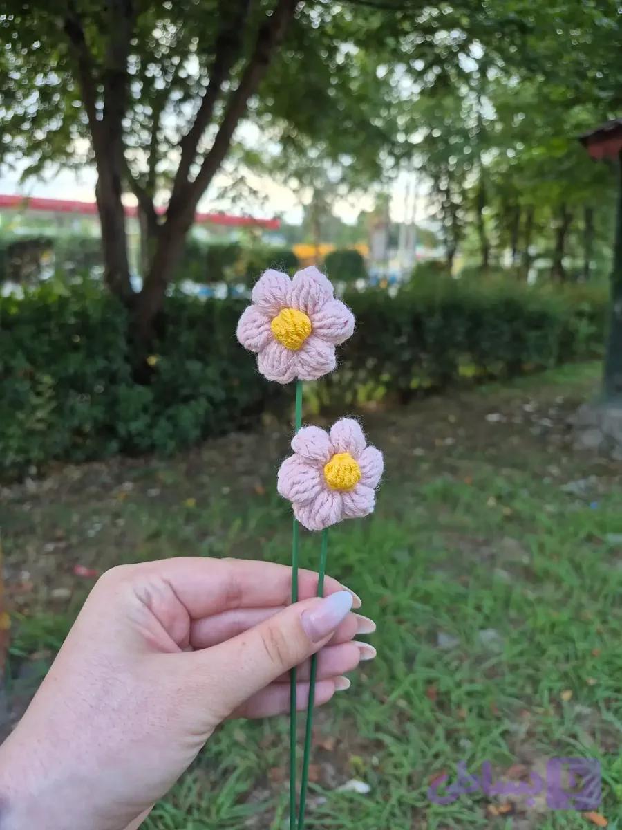 گل بافتنی بابونه — تصویر 1