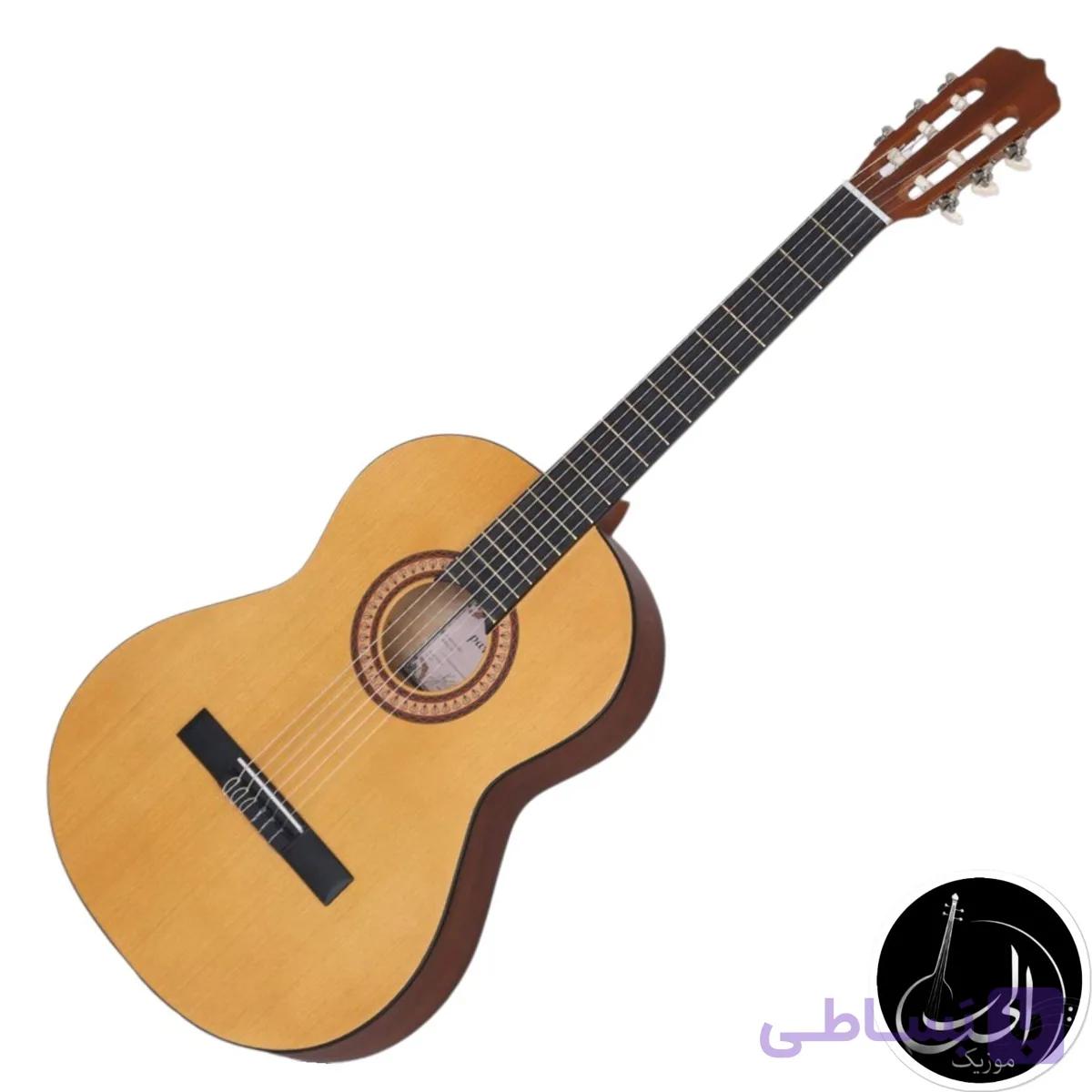 گیتار پارسی مدل d3 — تصویر 1