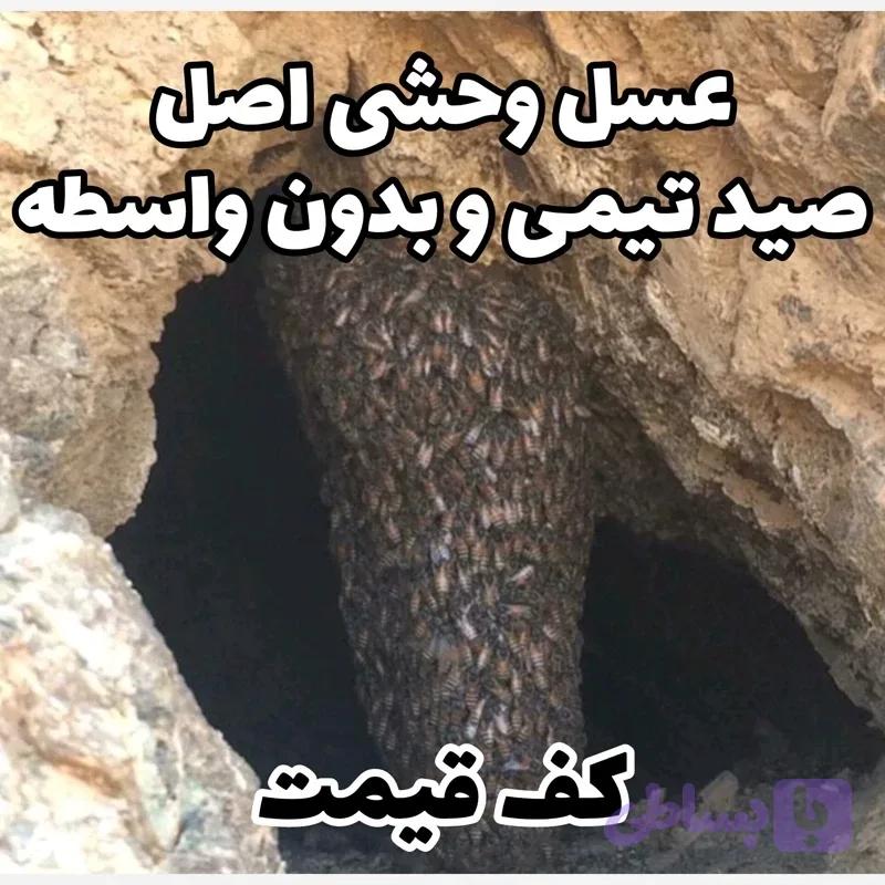 عسل طبیعی شهد وحشی کوهی صخره ای درمانی اصل نیم کیلویی(بهترین عسل ما،کف قیمتی)(خرید مستقیم و بدون واسطه)ارسال رایگان با ۳م خرید