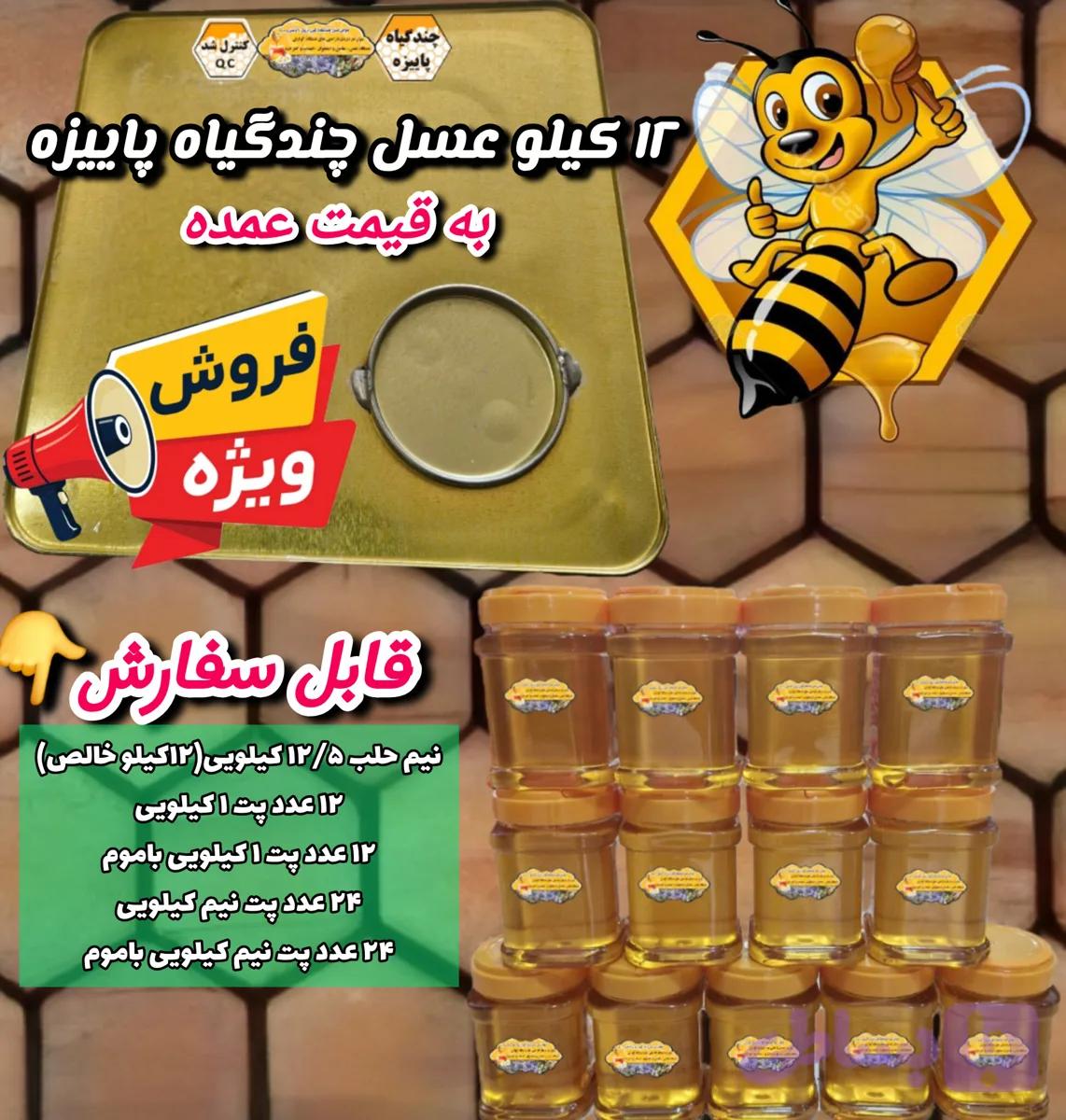 عسل چندگیاه پاییزه.دشتی.۱۳ کیلو به قیمت عمده (خرید مستقیم از زنبوردار) ارسال رایگان