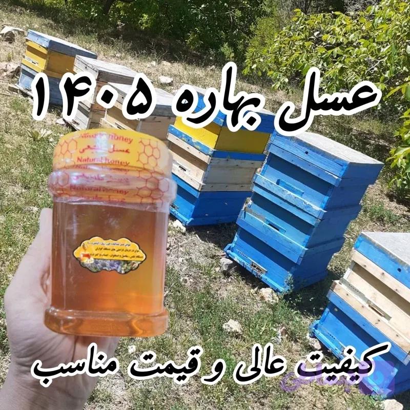 عسل بهاره 1 کیلو برداشت 1405 ساده و موم دار (خرید مستقیم از زنبوردار)ارسال رایگان با ۳م خرید