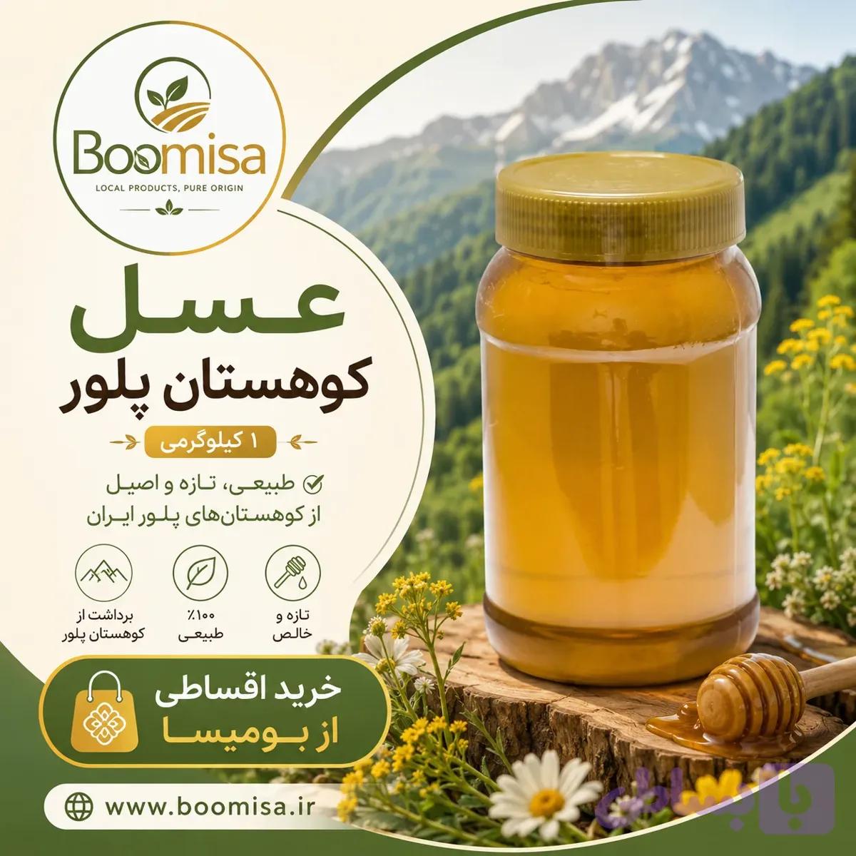 عسل کوهستان پلور 1 کیلوگرمی